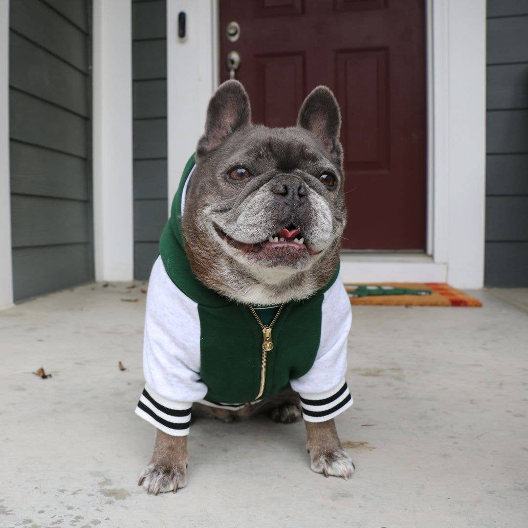 FRENCHIE – Nordic and Native