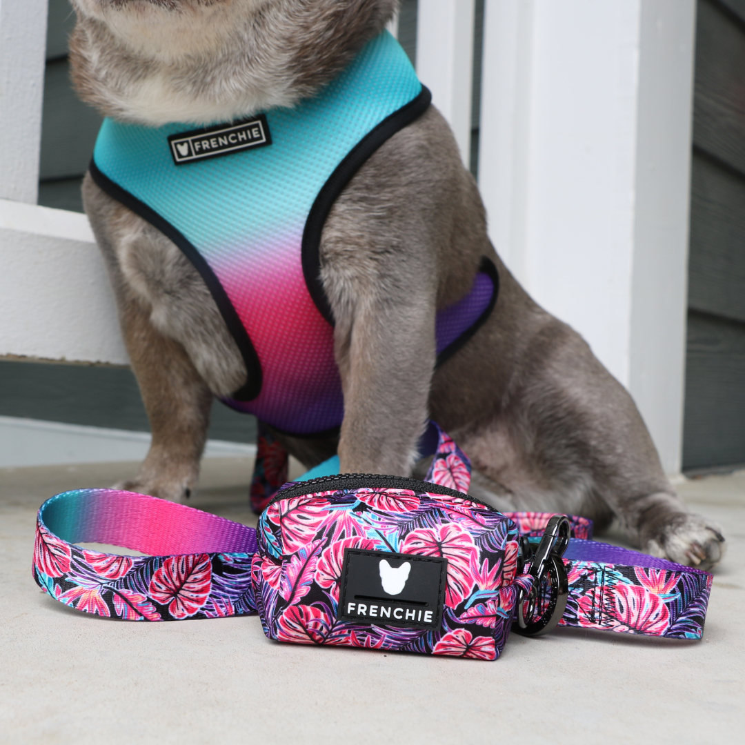 Frenchie Duo Reversible Harness - Tropical Palms