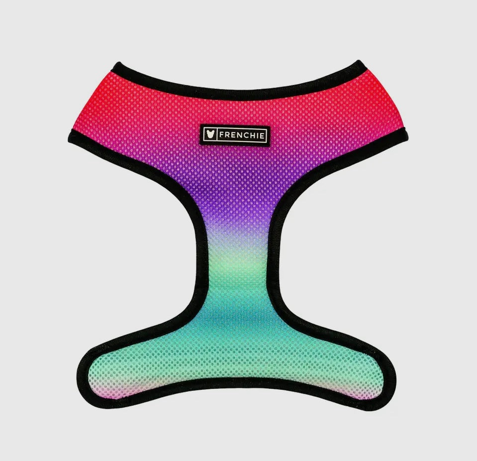 Frenchie Reversible Duo Harness in Tropical Palms