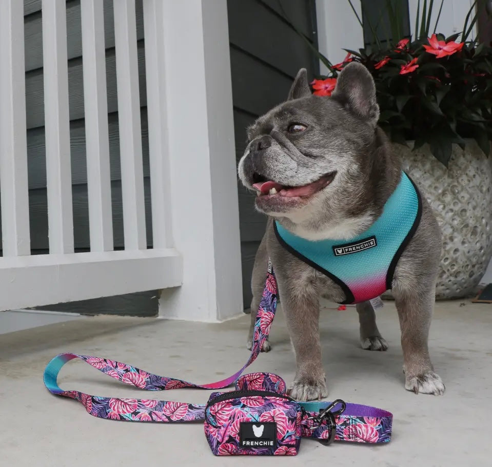 Frenchie Reversible Duo Harness in Tropical Palms