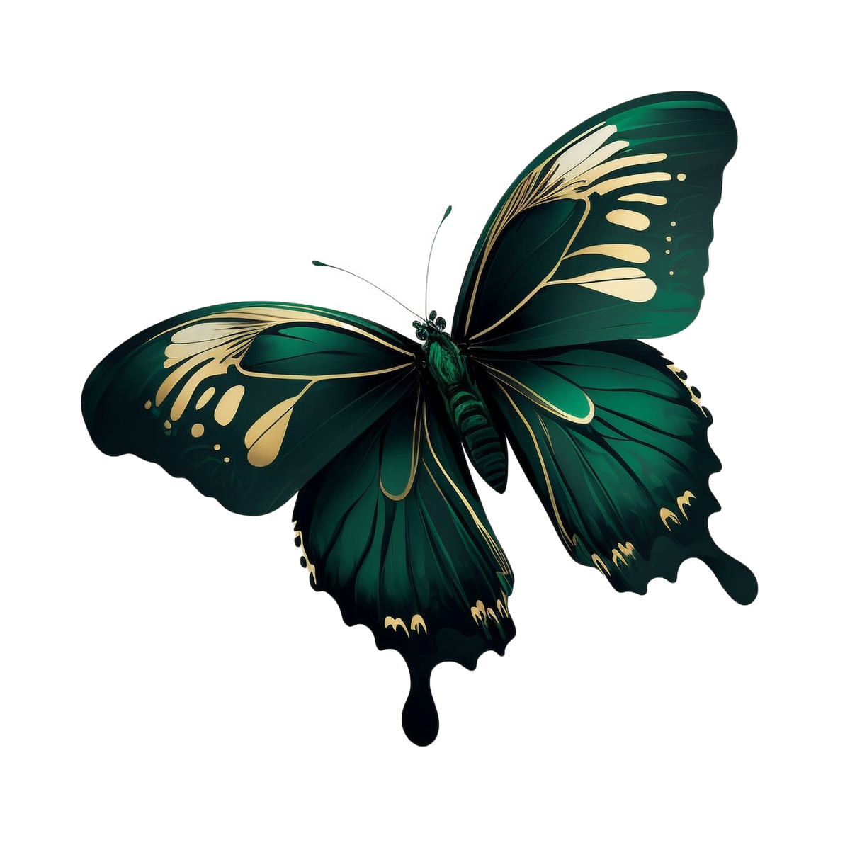 🦋 Butterfly Magnet Collection – Assorted Set of 12